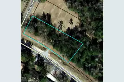 Tbd Lot 1 Rose Avenue Road, Walterboro, SC 29488 - Photo 1
