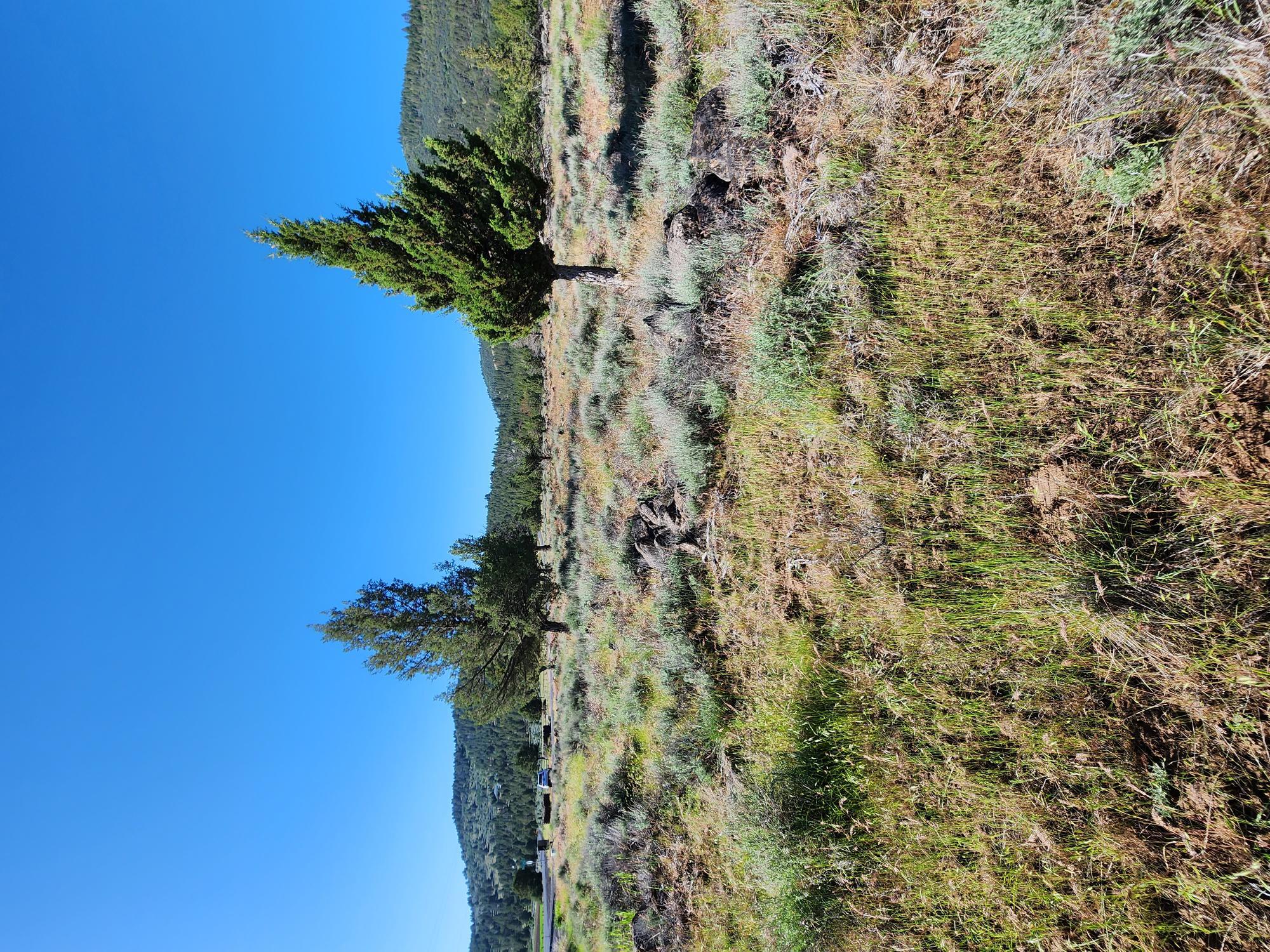 Zillow Klamath Falls Oregon - uurvlrj