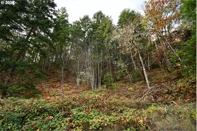 214 Thompson Rd, Riddle, OR 97469 - Photo 33