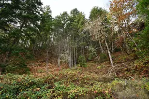 214 Thompson Rd, Riddle, OR 97469 - Photo 33