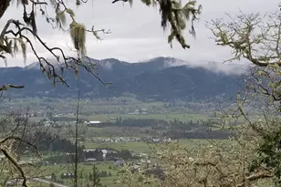345 Zeigler Ct, Roseburg, OR 97471 - Photo 21
