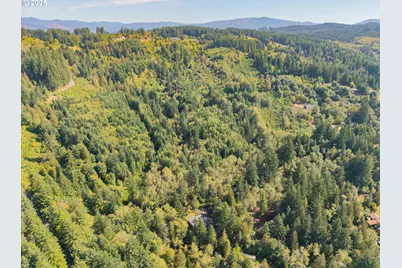 (Tax Id 986058362), Battle Ground, WA 98604 - Photo 5