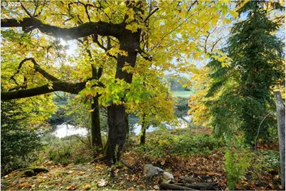 939 Buckhorn Rd, Roseburg, OR 97470 - Photo 27