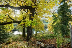 939 Buckhorn Rd, Roseburg, OR 97470 - Photo 27