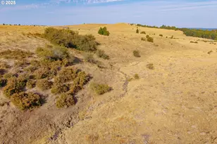 110 Morris Rd, Lyle, WA 98635 - Photo 43