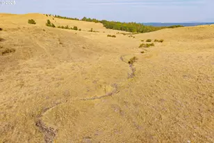 110 Morris Rd, Lyle, WA 98635 - Photo 47