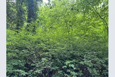 0 SW McDonnell, Portland, OR 97239 - Photo 17