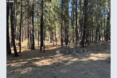 Green Forest Dr #Lot 3, Chiloquin, OR 97624 - Photo 25