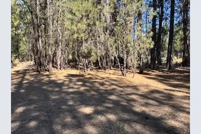 Green Forest Dr #Lot 3, Chiloquin, OR 97624 - Photo 21