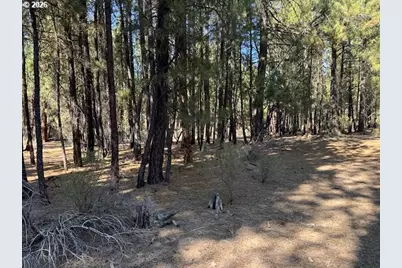Green Forest Dr #Lot 3, Chiloquin, OR 97624 - Photo 9
