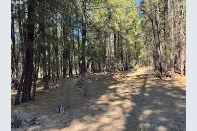 Green Forest Dr #Lot 3, Chiloquin, OR 97624 - Photo 13