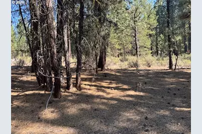 Green Forest Dr #Lot 3, Chiloquin, OR 97624 - Photo 19