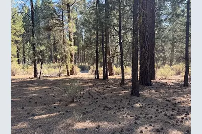 Green Forest Dr #Lot 3, Chiloquin, OR 97624 - Photo 27