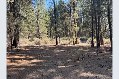 Green Forest Dr #Lot 3, Chiloquin, OR 97624 - Photo 23
