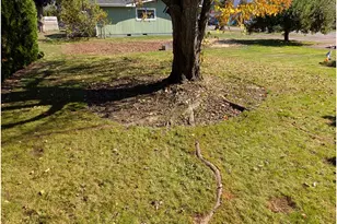 5440 J St, Springfield, OR 97478 - Photo 15