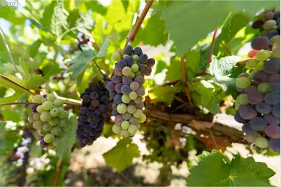 1108 N Hadley Rd, Newberg, OR 97132 - Photo 39