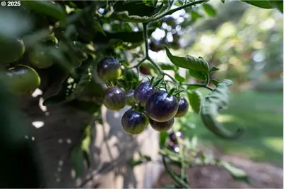 1108 N Hadley Rd, Newberg, OR 97132 - Photo 37