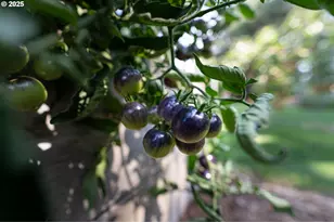 1108 N Hadley Rd, Newberg, OR 97132 - Photo 37