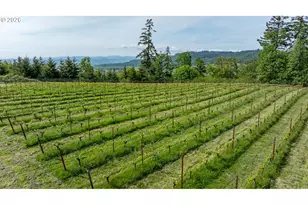 6850 SE Eola Hills Rd, Amity, OR 97101 - Photo 11