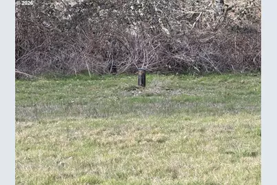 0 Omlid Dr #10, Springfield, OR 97478 - Photo 17