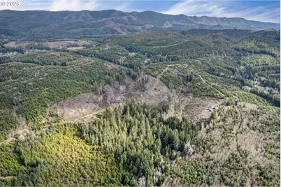 0 Chinook Valley Rd, Chinook, WA 98614 - Photo 5