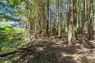 700 SE Blk Terry Pl Tl1900, Depoe Bay, OR 97341 - Photo 9