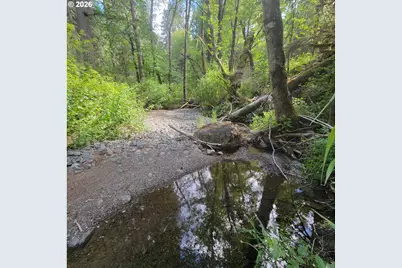 0 Rice Creek Rd, Winston, OR 97496 - Photo 17