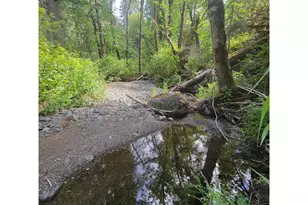 0 Rice Creek Rd, Winston, OR 97496 - Photo 17