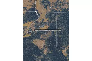 0 Rice Creek Rd, Winston, OR 97496 - Photo 37