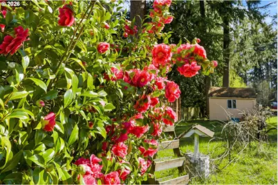 9925 SW Inez St, Portland, OR 97224 - Photo 27