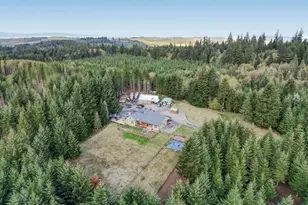 67391 Hollywood Rd, Deer Island, OR 97054 - Photo 3