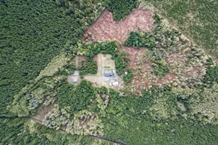 67391 Hollywood Rd, Deer Island, OR 97054 - Photo 31