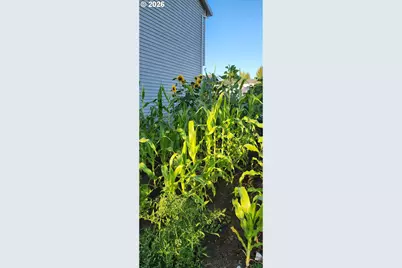 641 Mary Dr, Molalla, OR 97038 - Photo 45