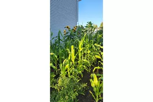 641 Mary Dr, Molalla, OR 97038 - Photo 45