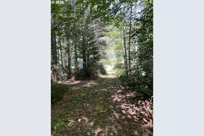33090 Lupine Way Rd, Gold Beach, OR 97444 - Photo 11