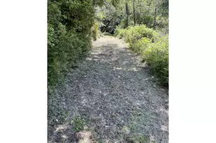 33090 Lupine Way Rd, Gold Beach, OR 97444 - Photo 9