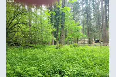 28616 SE Island Rd, Eagle Creek, OR 97022 - Photo 3