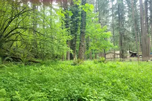28616 SE Island Rd, Eagle Creek, OR 97022 - Photo 3