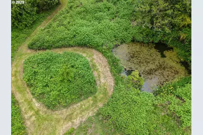 88447 Lampa Ln, Coquille, OR 97423 - Photo 45