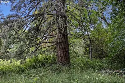 296 Mobley Dr, Azalea, OR 97410 - Photo 47