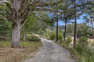 296 Mobley Dr, Azalea, OR 97410 - Photo 3