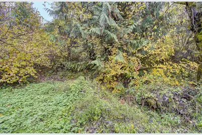 133 Lost Creek Dr, Glenoma, WA 98336 - Photo 39