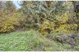 133 Lost Creek Dr, Glenoma, WA 98336 - Photo 39