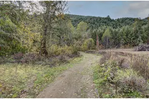 133 Lost Creek Dr, Glenoma, WA 98336 - Photo 39