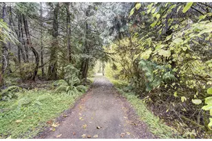 133 Lost Creek Dr, Glenoma, WA 98336 - Photo 43