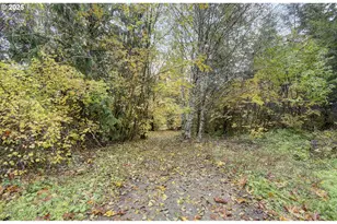 133 Lost Creek Dr, Glenoma, WA 98336 - Photo 43