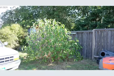 804 W N St, Springfield, OR 97477 - Photo 13