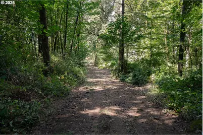 31795 NE Wilsonville Rd, Newberg, OR 97132 - Photo 9