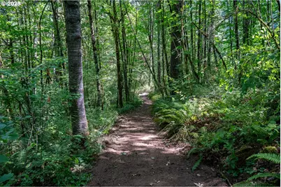 31795 NE Wilsonville Rd, Newberg, OR 97132 - Photo 11