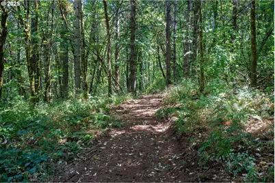 31795 NE Wilsonville Rd, Newberg, OR 97132 - Photo 13